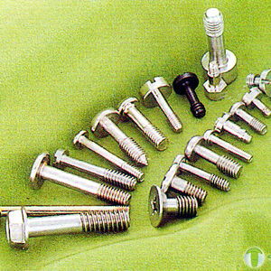 Captive Screw