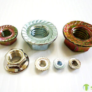 Flange Nuts
